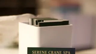  | Serene Crane Spa