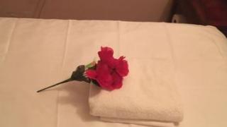  | Water Lily Spa