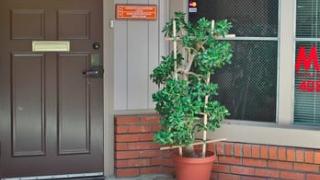  | Foothill Acupuncture Center