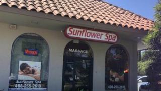  | Sunflower SPA