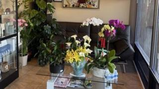  | Queen's Beauty Spa