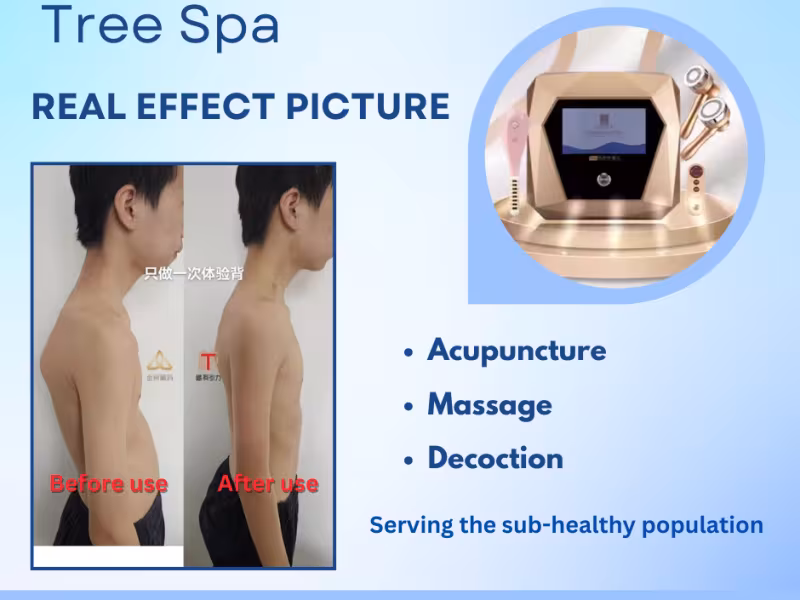 Tree Spa