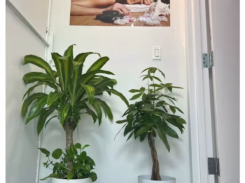 NEW AURORA SPA