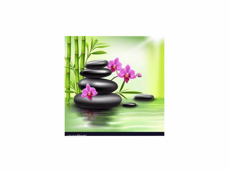 Spoil Yourself Spa