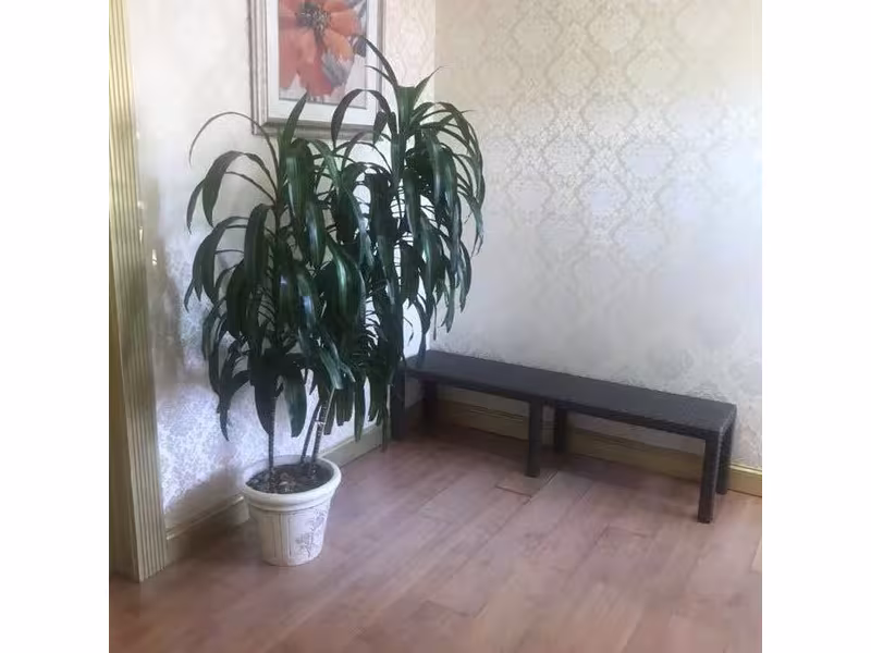 Aloha Relaxing Center