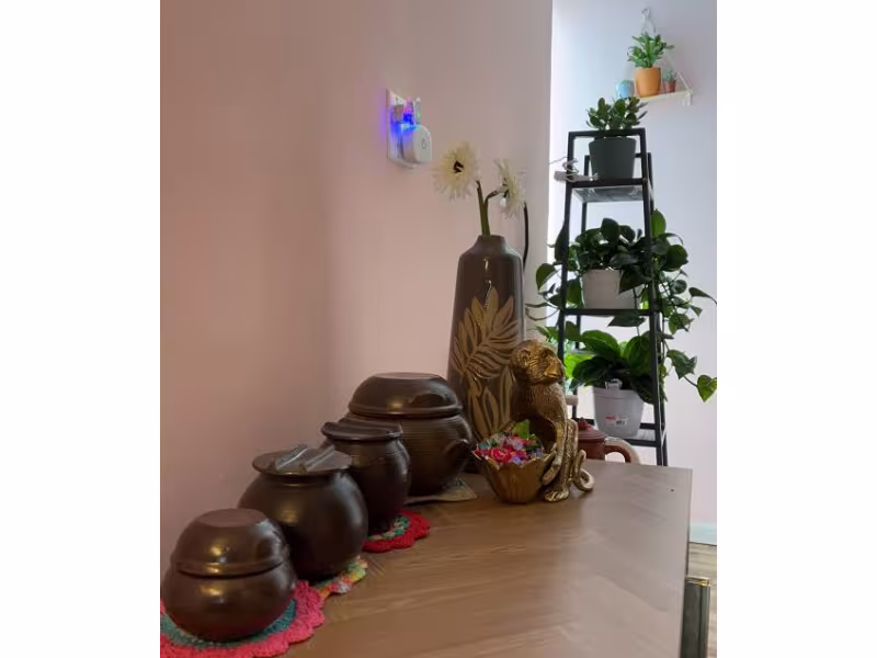 Joy Feel Spa