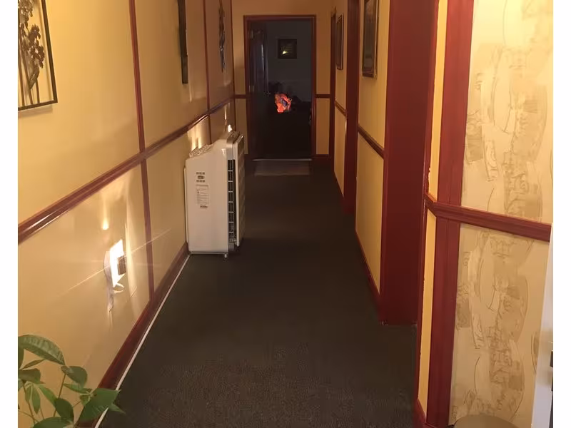 Li Health Foot Spa