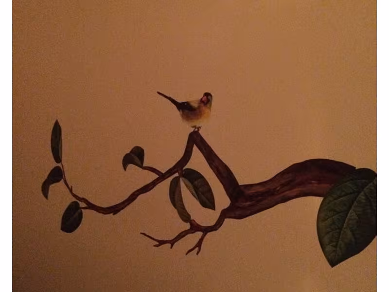 Five Elements Tui-Na