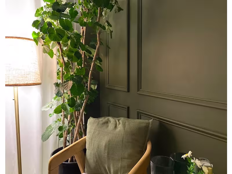 Olive Massage and Spa NYC