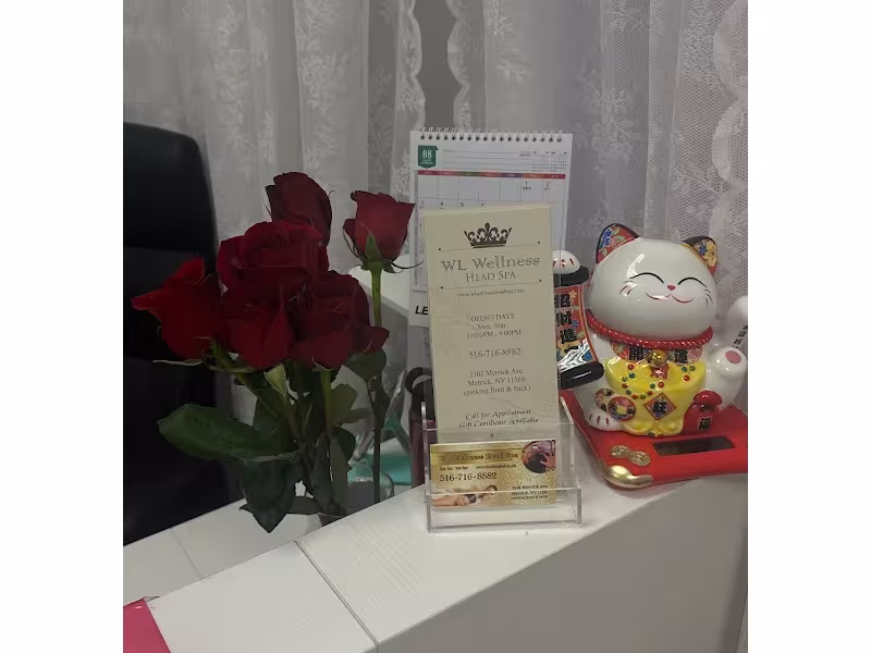 WL Wellness Head Spa