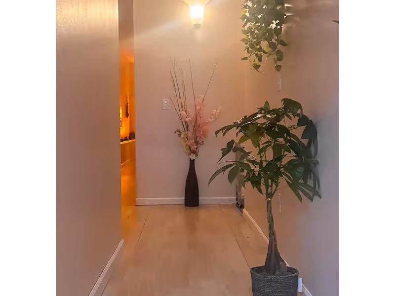 Bamboo Spa