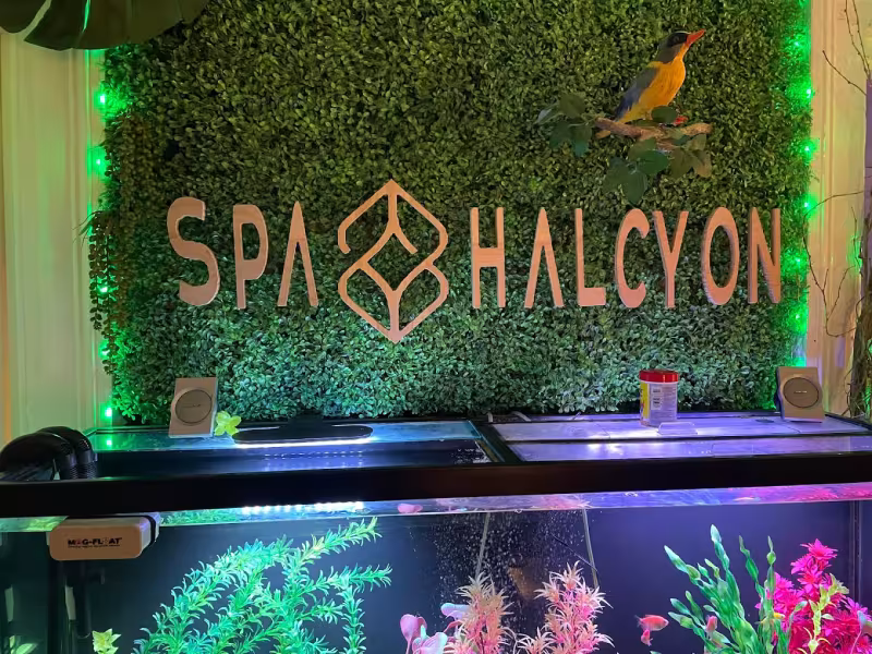 Spa Halcyon